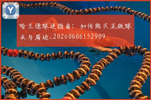 哈兰德球迷指南：如何购买正版球衣与周边_20260606152909