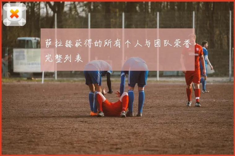 萨拉赫获得的所有个人与团队荣誉完整列表