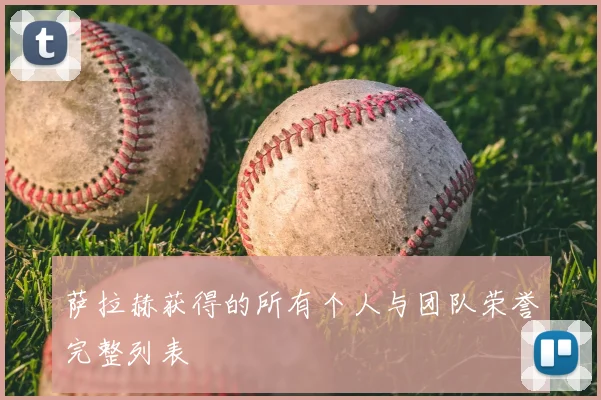 萨拉赫获得的所有个人与团队荣誉完整列表